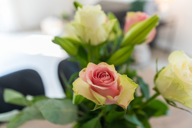 Home, Apart Residence Galant Rovinj